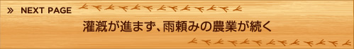 灌漑が進まず、雨頼みの農業が続く