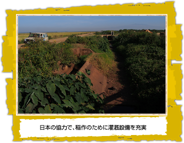 日本の協力で、稲作のために灌漑設備を充実