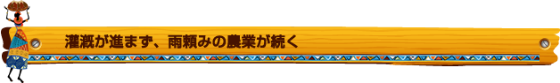 灌漑が進まず、雨頼みの農業が続く
