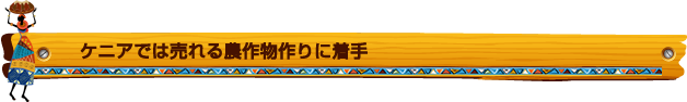 ケニアでは売れる農作物作りに着手 ケニアでは売れる農作物作りに着手