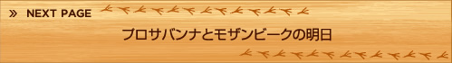 プロサバンナとモザンビークの明日