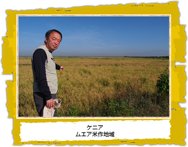 ケニア ムエア米作地域