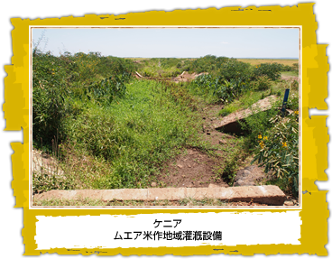 ケニア ムエア米作地域灌漑設備