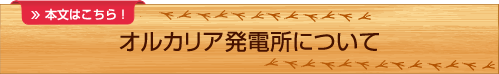 ���륫�ꥢȯ�Ž�ˤĤ���