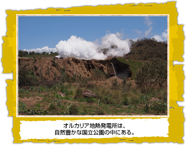 オルカリア地熱発電所は、 自然豊かな国立公園の中にある。