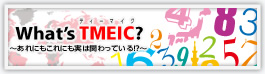 What&rsquo;s TMEIC?
