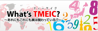 What&rsquo;s TMEIC?