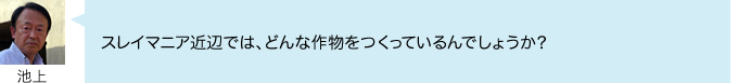 スレイマニア近辺では、どんな作物をつくっているんでしょうか?
