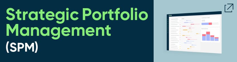 Strategic Portfolio Management (SPM)