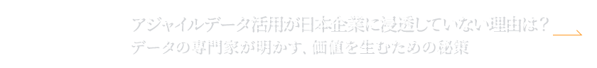 “NEXT:アジャイルデータ活用が日本企業に浸透していない理由は?データの専門家が明かす、価値を生むための秘策