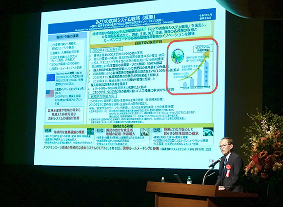 わが国におけるカーボンプライシングの視点