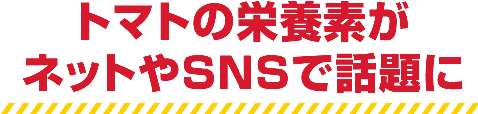 トマトの栄養素がネットやSNSで話題に