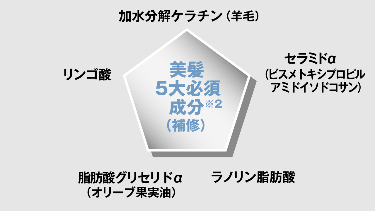美髪5大必須成分※2（補修）：加水分解ケラチン(羊毛)、セラミドα（ビスメトキシプロピルアミドイソドコサン）、ラノリン脂肪酸、脂肪酸グリセリドα（オリーブ果実油）、リンゴ酸