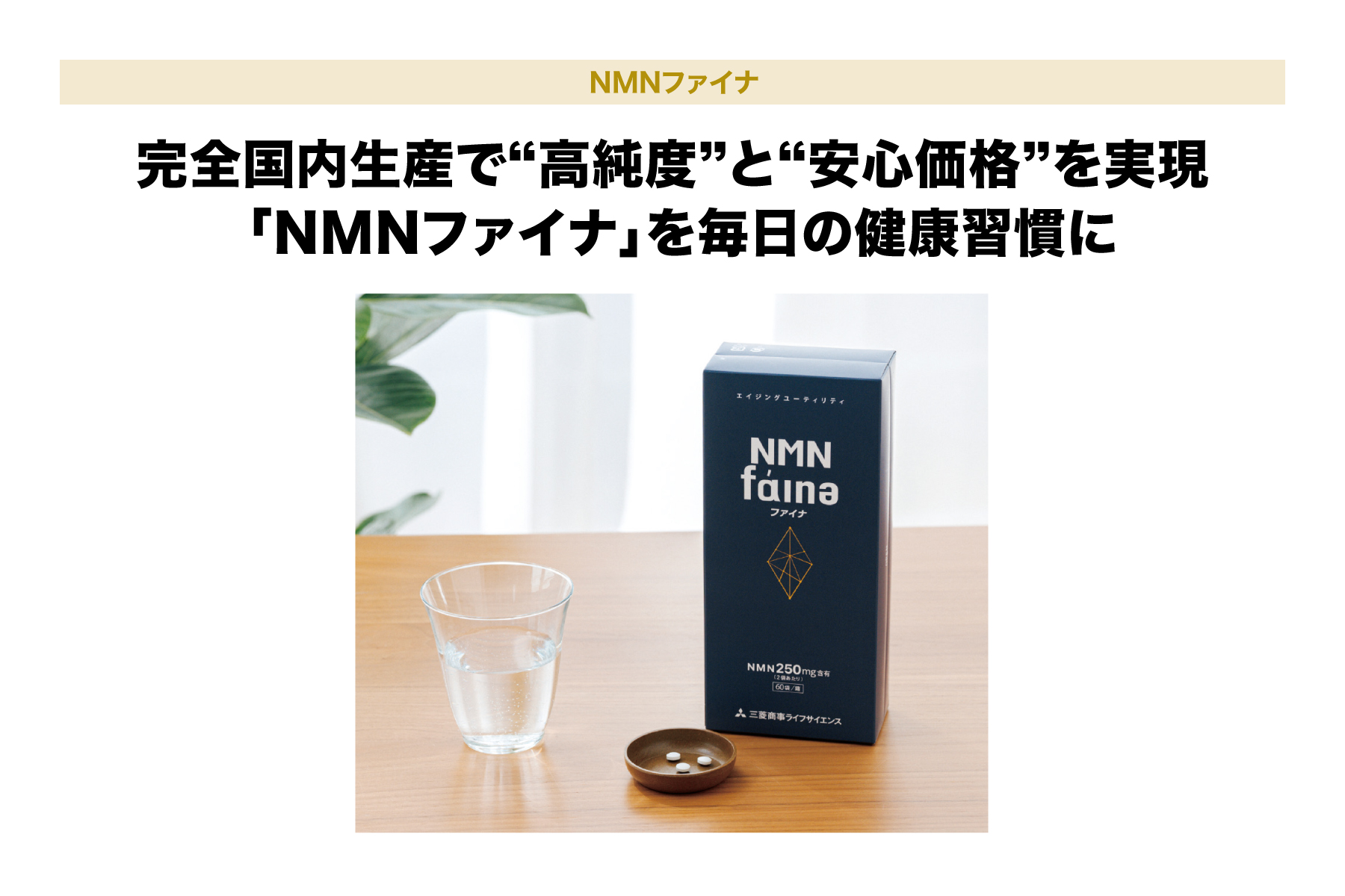 NMNファイナ