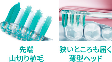 画像：先端切り植毛、狭いところも届く薄型ヘッド