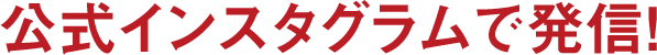 公式インスタグラムで発信！