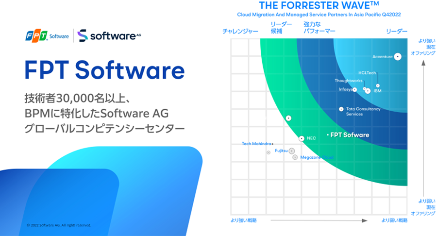 図：FPT Software