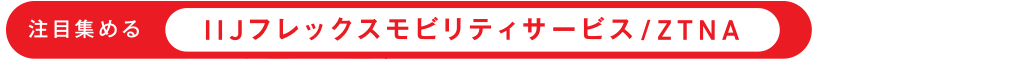 ――注目集める「IIJフレックスモビリティサービス/ZTNA」