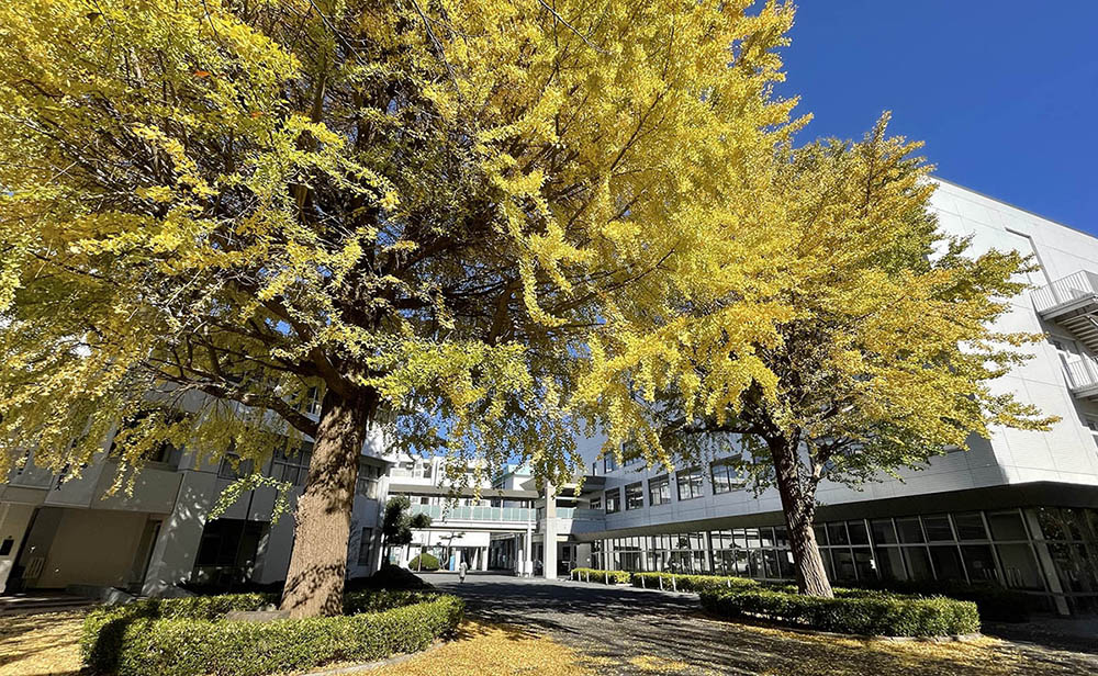 東邦大学付属学校 校舎外観