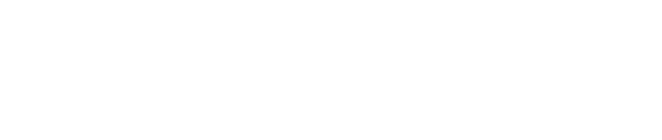 初年度を大きく上回る「本麒麟」２年目の躍進