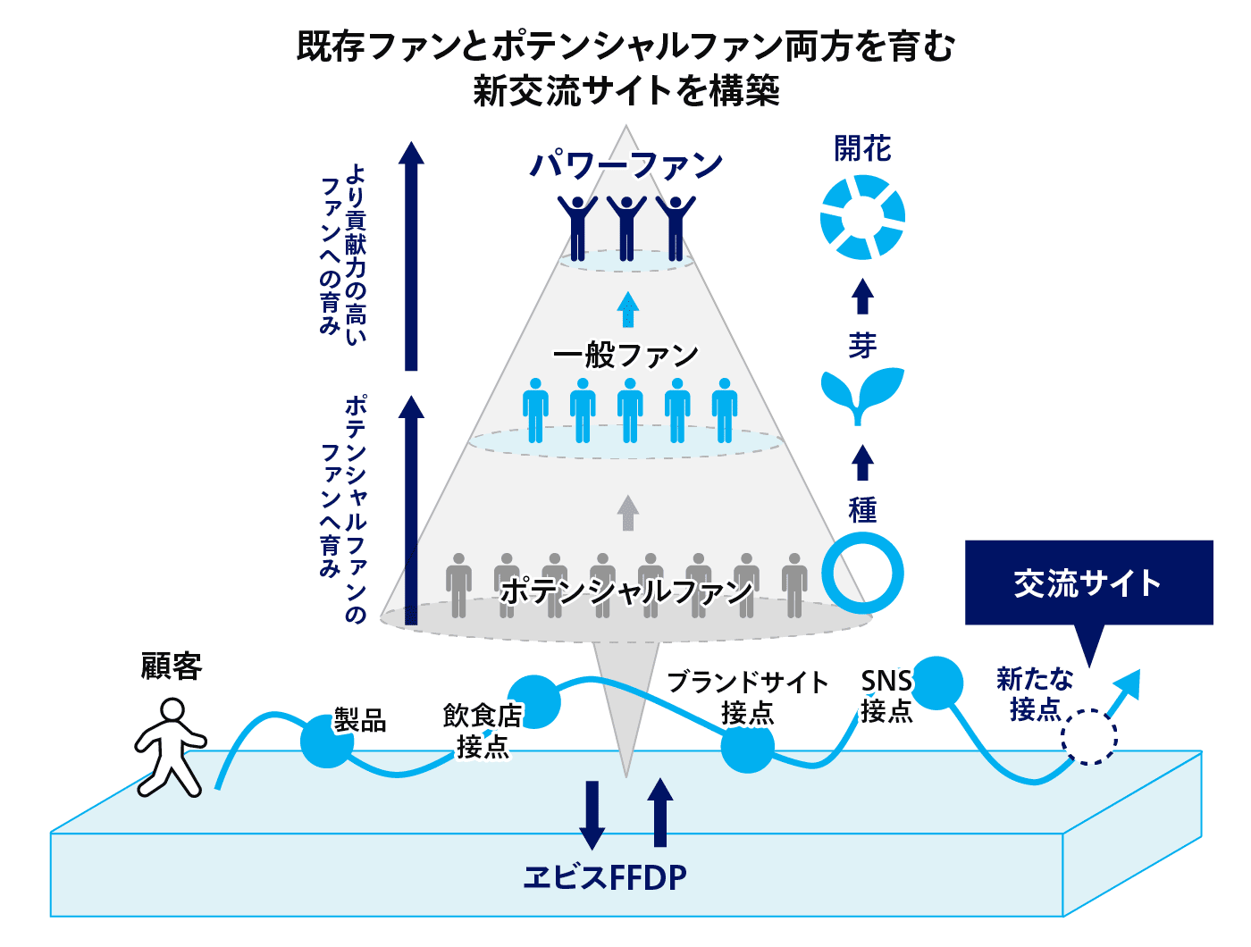 既存ファンとポテンシャルファン両方を育む新交流サイトを構築