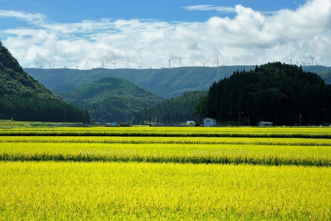 田園風景