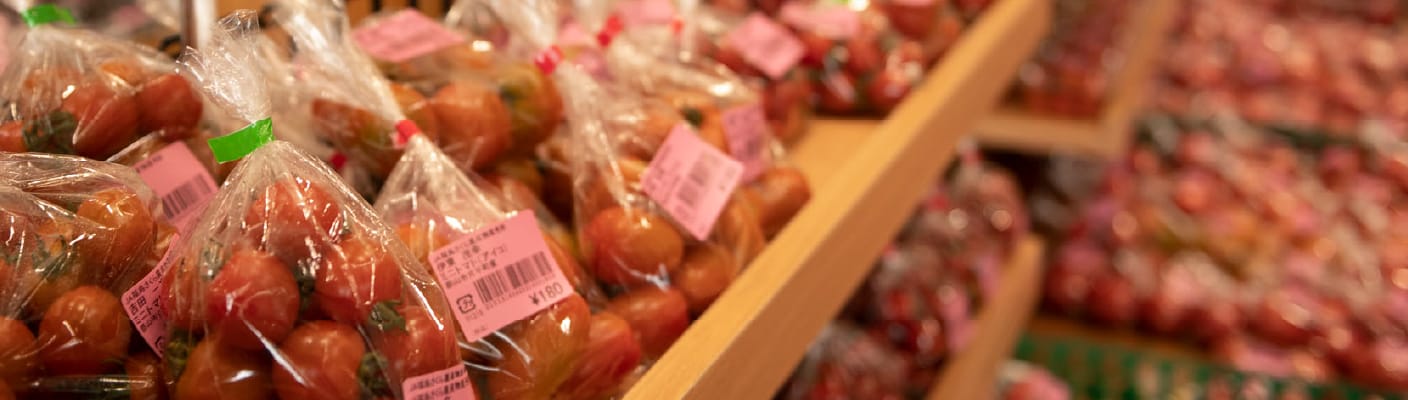 「被災地のありのままを見せる」支援
