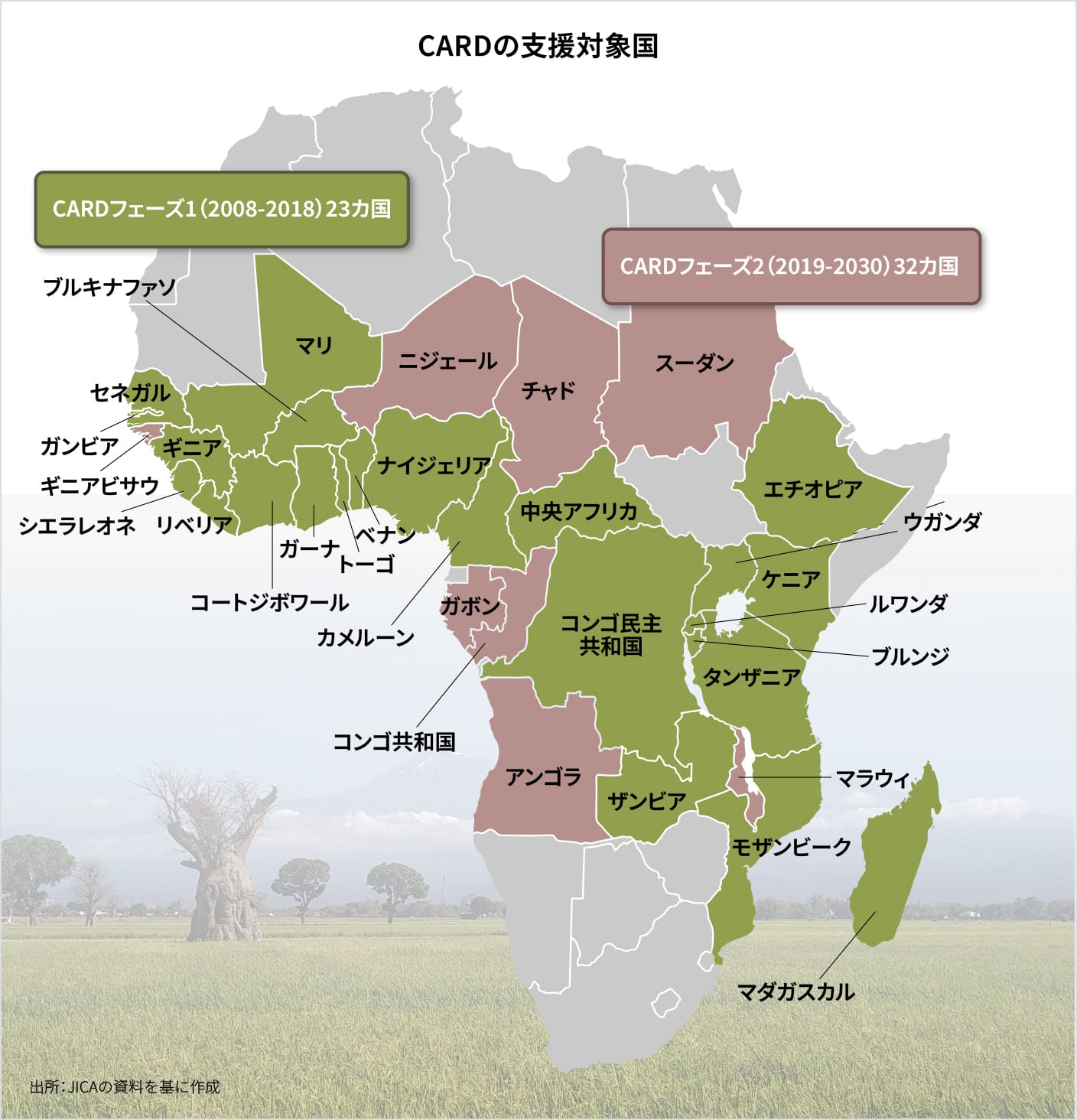 CARDの支援対象国