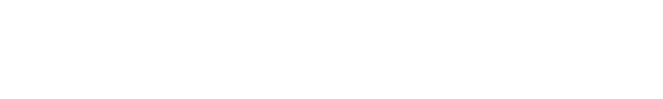 ナイスジャパン株式会社 セールスディレクター 島田 宏巌氏