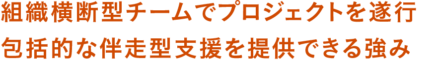組織横断型チームでプロジェクトを遂行包括的な伴走型支援を提供できる強み