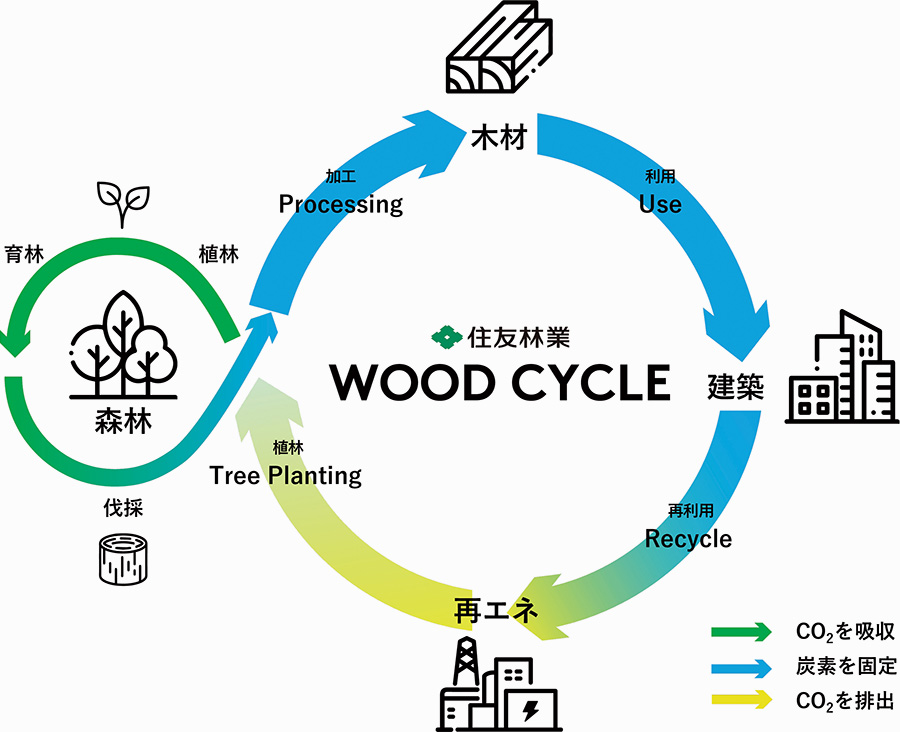 住友林業が展開する、木を軸にした「WOOD CYCLE」バリューチェーン図