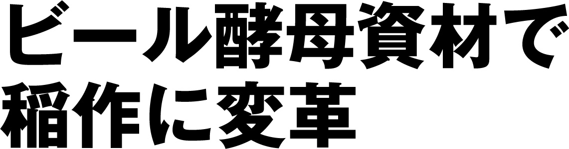 ビール酵母資材で稲作に変革