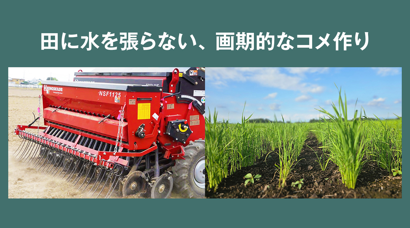 田に水を張らない、画期的なコメ作り