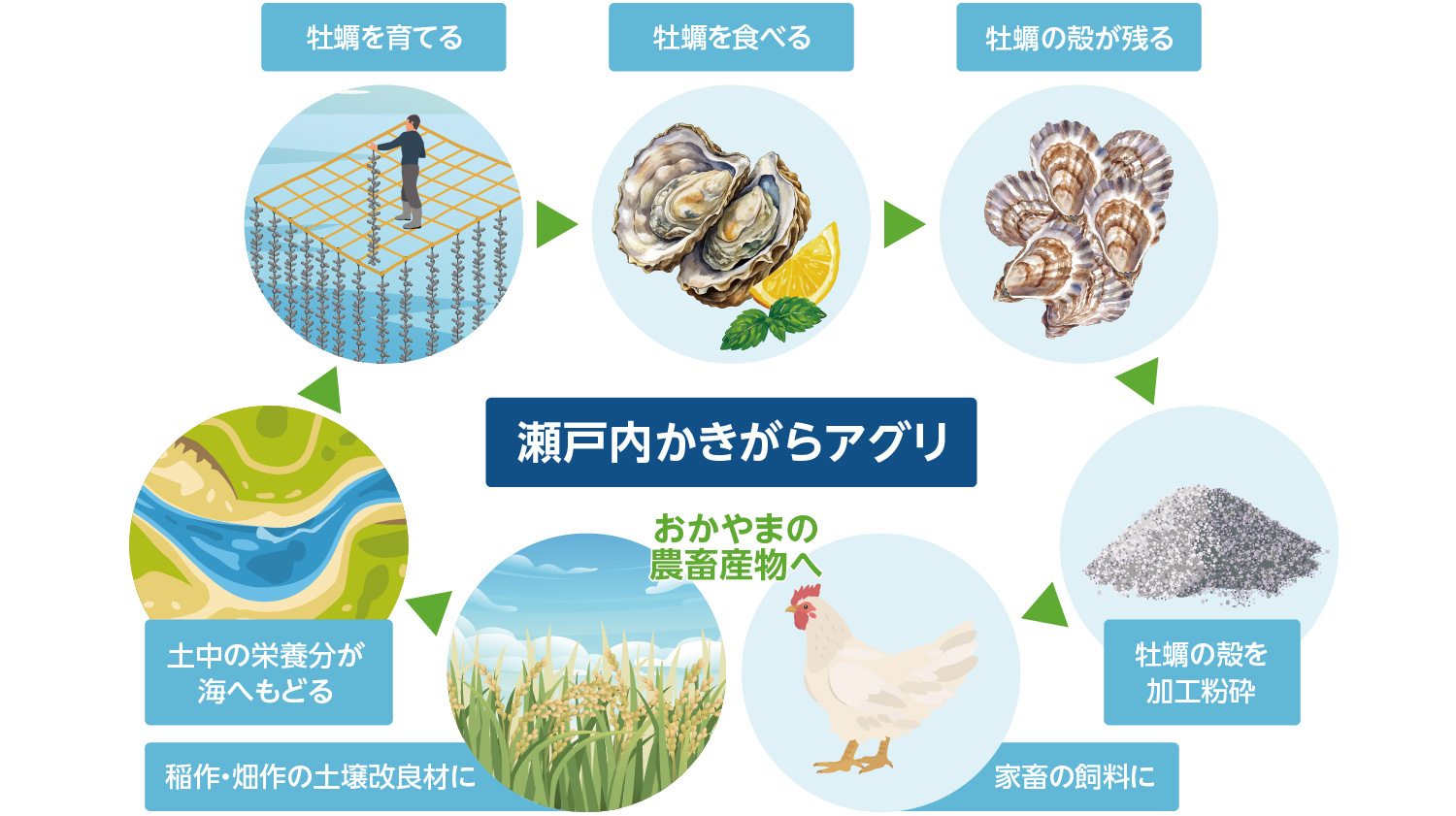 ■「里海」ビジネスにおける循環の仕組み