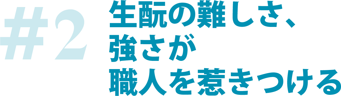 #2 生酛の難しさ、強さが職人を惹きつける