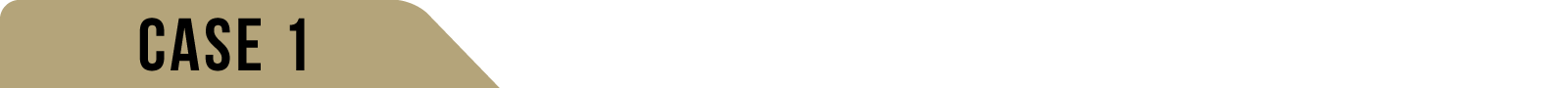 CASE1