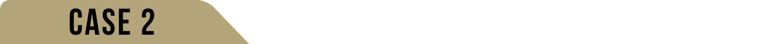 CASE2