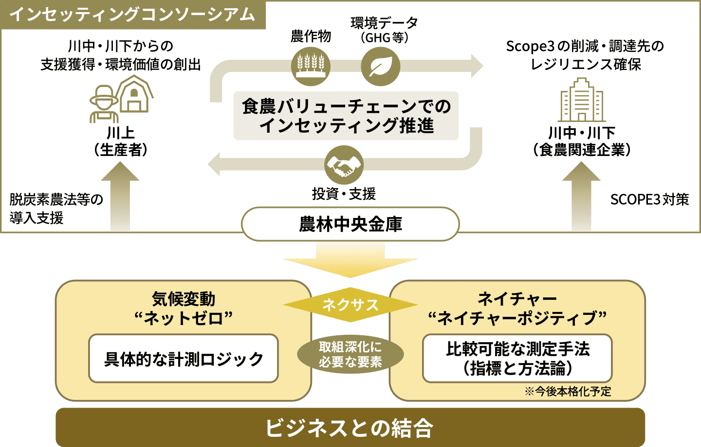 コンソーシアム概要