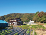 ❸岐阜県郡上市