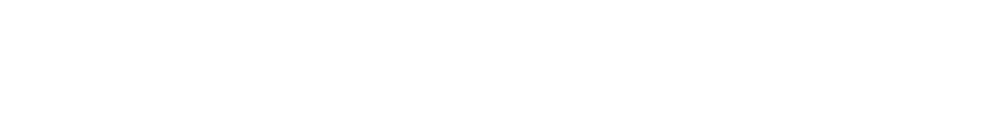 8カ月という短期間で強力な経営基盤を手にしたリオ・ホールディングス