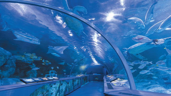 しながわ水族館（品川区）