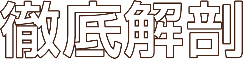 徹底解剖