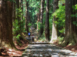 熊野古道 大門坂