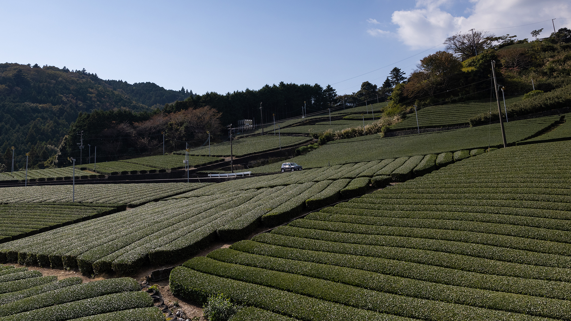静岡県