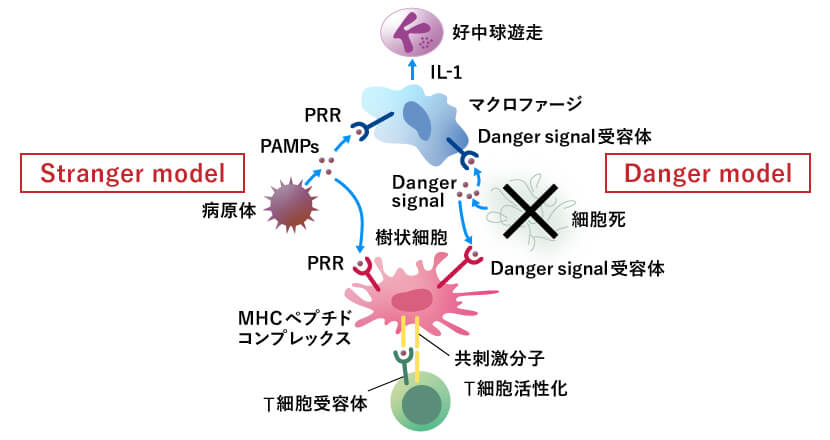Danger signalの図