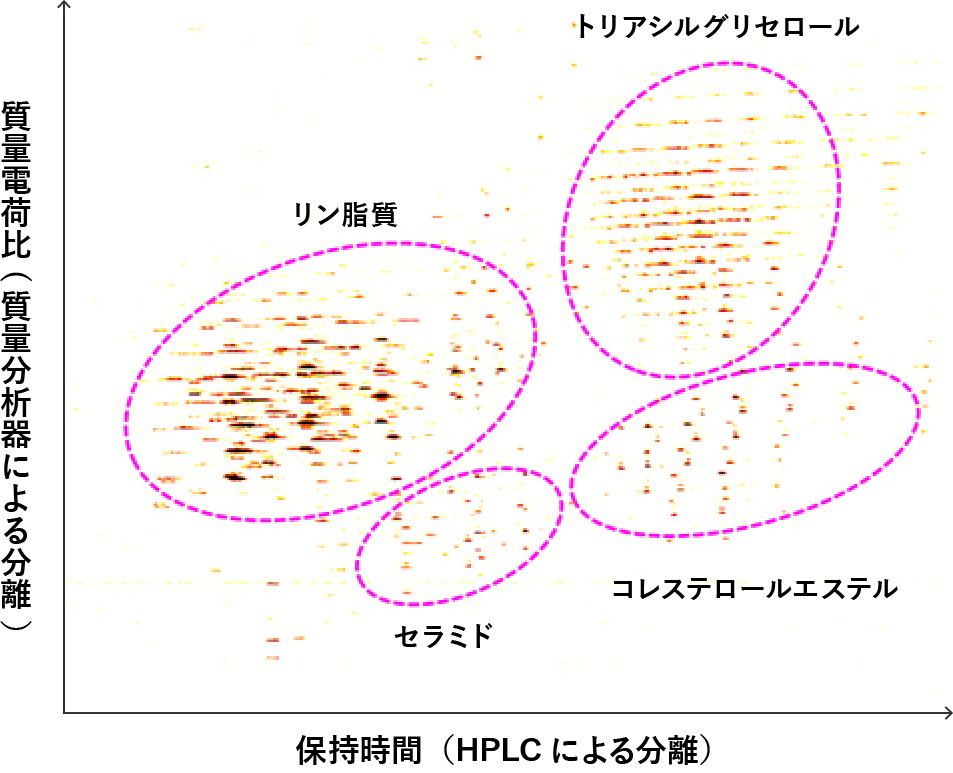 質量分析器（LC-MS）による脂質分子の測定の図解