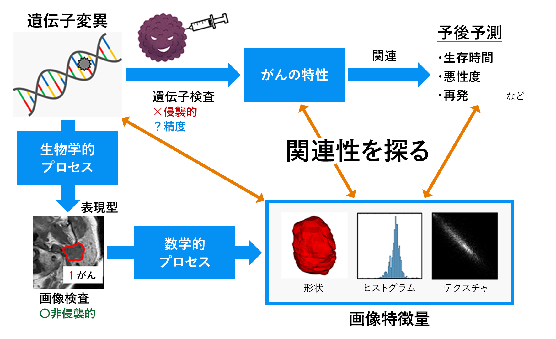 医用画像からがんの悪性度や予後に関わる特徴を抽出し予測する画像