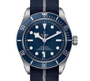 TUDOR